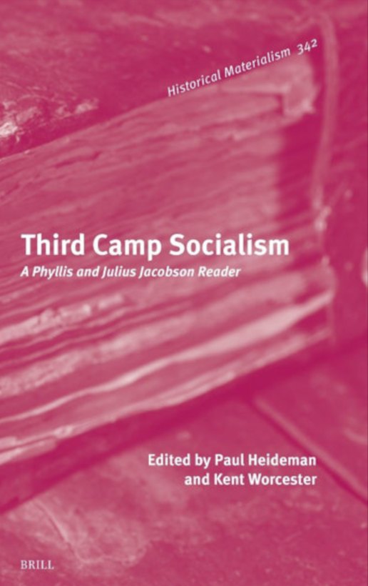 Third Camp Socialism